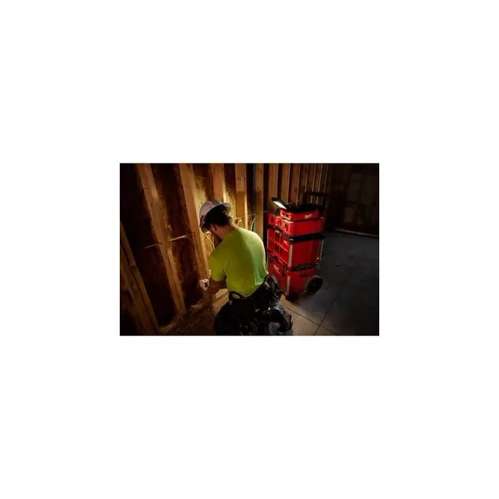 Milwaukee M12 FUEL 2-Tool Combo Kit with M12 Packout Flood Light & USB Charging Bundle 18
